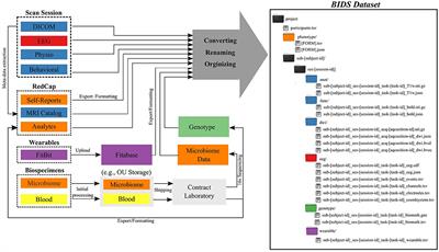 Common Data Elements, Scalable Data Management Infrastructure, and Analytics Workflows for Large-Scale Neuroimaging Studies